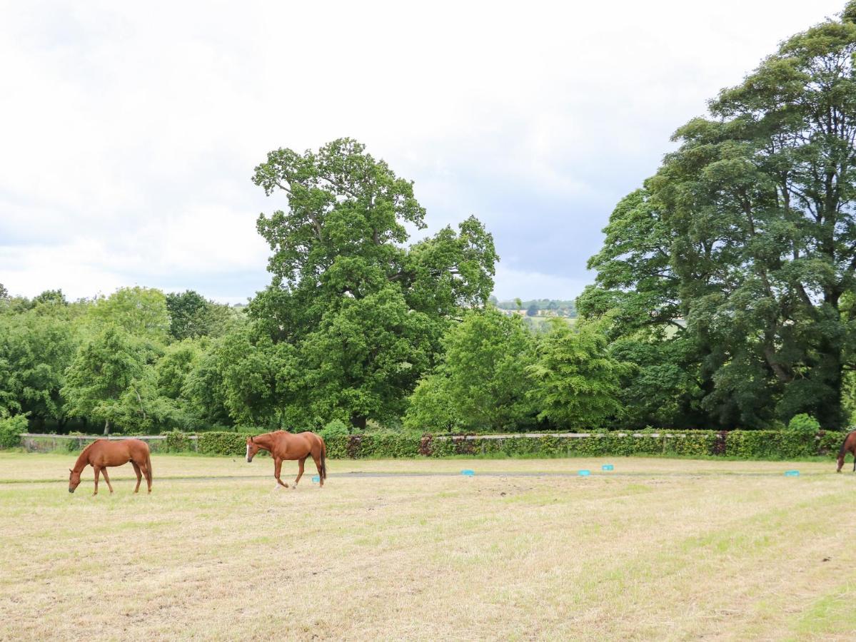 Scarvagh House Villa Craigavon Luaran gambar